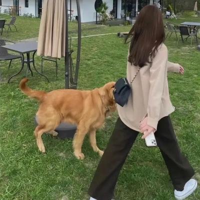 被拒绝者