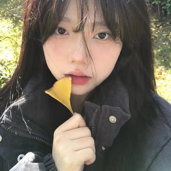 挪威的森林